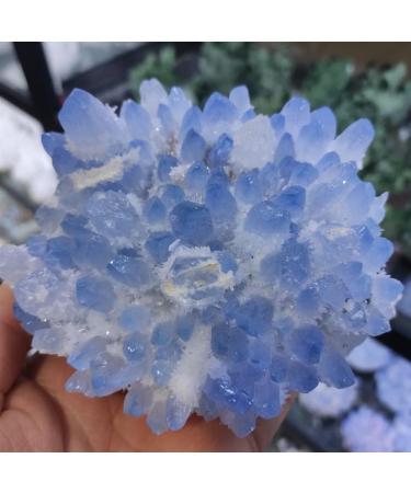 Natural Crystal Rough Home Decoration 1pcs 300-700g Rare Beautiful Blue Ghost Phantom Quartz Crystal Cluster Specimen Stones (Size : 400-500g) - Buy Online on GoSupps.com