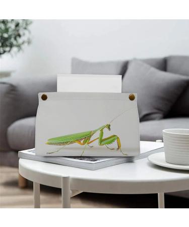 Tissue Box Cover Tissue Box Holder Green and Yellow Mantis Print Tissue Holder Travel Tissue Packs Facial Paper Holder Decorative Holder - Buy Online on GoSupps.com