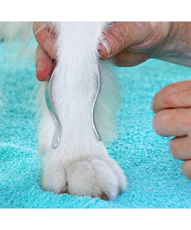 NATURE PET Premium - Dog Carpal Splint/Dog Brace/Front Legs - Grey - L - Buy Online on GoSupps.com