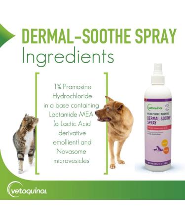 Dermal-Soothe Anti-Itch Spray 12 oz - Fast Relief for Skin Irritation - Buy Online on GoSupps.com