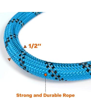 Taglory Reflective Dog Leash - Comfortable Padded Handle Soft Nylon for Large Dogs 150x1.2cm - Perfect for Training & Walks - Blue - Buy Online on GoSupps.com