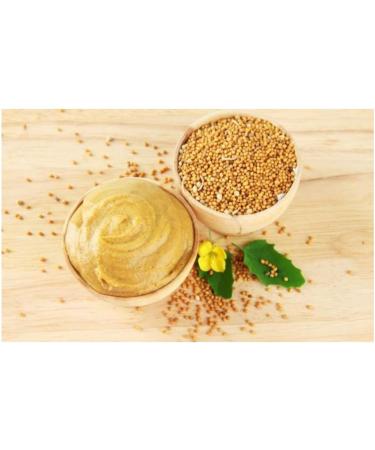 Crucials American Style Mustard 500ml (Q) - Buy Online on GoSupps.com