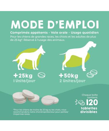 MAIKAI Anti-Osteoarthritis Tablets for Large Dogs - 120 tablets - Food supplement concentrated in Glucosamine Chondroitin MSM Omega 3 and Hyaluronic Acid - Strengthens Joints - Buy Online on GoSupps.com