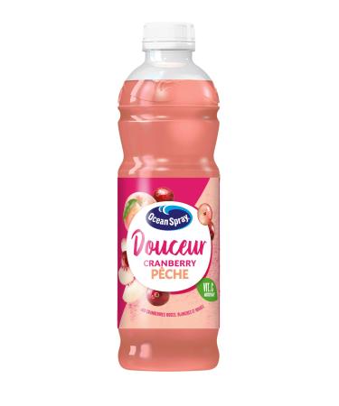 OCEAN SPRAY Boisson au jus de Cranberry de P che blanche et de Raisin base de concentr s- Carton de 6 bouteilles de 1 litre.