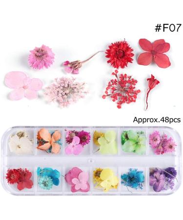 24 Soft Pastel Colored Chalks Acrylic Powder Liquid Set with Dry Flowers Acrylic Nail Starter Kit 150ml Acrylic Liquid Nail Brush & Cup for DIY Colorful Acrylic Nail Powder All in One Kit - Buy Online on GoSupps.com