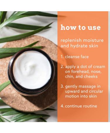 Eve Hansen Soothe & Repair Set: Organic Rose Water Spray for Face Moroccan Rosewater Face Toner Setting Spray 8oz | Hydrating Hyaluronic Acid Serum for Face 2oz | Anti Aging Vitamin C Night Cream 2oz - Buy Online on GoSupps.com