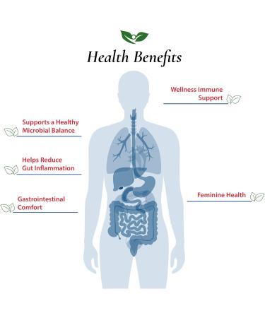 Foods For Gut Bifidobacterium Breve Probiotic Powder 300 Billion cfu's | Made in USA | No Additives | Digestive & Immune Support | High Potency | B. Breve | 60 Grams (2.11 Oz) 2.11 Ounce (Pack of 1) - Buy Online on GoSupps.com