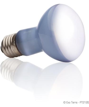 Exo Terra Daylight Basking Spot Lamp - 25W R20 E27 Broad Spectrum Metallic - Ideal for Reptiles & Amphibians | International Shipping Available - Buy Online on GoSupps.com