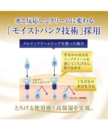 Rotho Mentholatum Melty Cream Lip Hydrating Balm Rich Honey SPF25 P+++ 2.4g Made in Japan by Ametsus - Buy Online on GoSupps.com