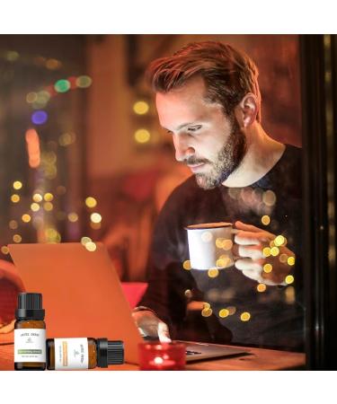 Luxury Hotel Inspired Essential Oil Set - Wandering Breeze Elegant Charisma Serenity Meadows & Royal Tranquility - 10ML Diffuser Oils for Home & Travel - Buy Online on GoSupps.com