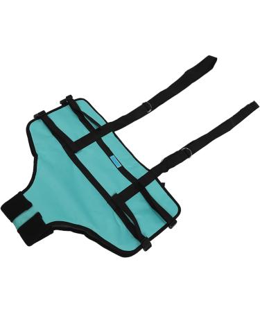 Patient Belts & Standing Aids | 4-Point Support Dirt-Repellent Toilet Solutions for Manual Lifting - Buy Online on GoSupps.com