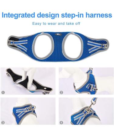 Small Dogs No Pull Harness | Reflective Breathable Mesh | Step-In Vest with Leash | Adjustable for Walking & Training | Blue - Buy Online on GoSupps.com