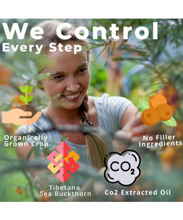 Sea Buckthorn Oil Blend - Omega-7 Complete 60 Softgels (500mg) - Omega 7 Supplement - Buy Online on GoSupps.com