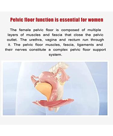 HSRG Beck Corrector - Pelvic Floor Repair Device | Post-Birth Recovery & Urinary Incontinence Relief - Buy Online on GoSupps.com