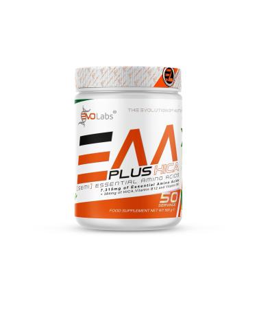 EVOLABS EAA+HICA - High -quality amino acids for muscle protection & muscle building - 8 essential amino acids - vegan & sugar -free - fruity taste and free of preservatives 500g Sweet Woodruff (Waldmeister)