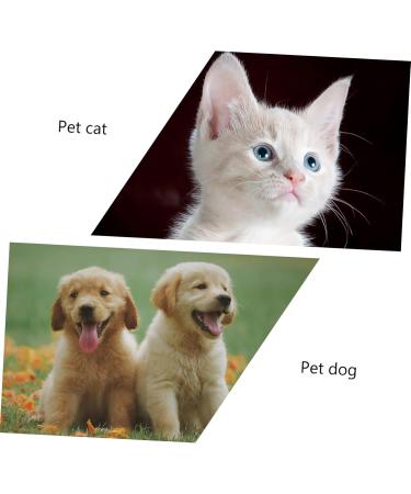 Angoily 2pcs Supplies Tools Cleaners Tooth Pets Teeth Manual Cat Portable Puppy Home Dog Care Soft-bristle 1 count (Pack of 1) White - Buy Online on GoSupps.com