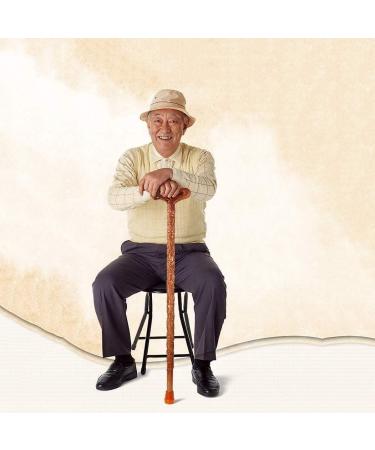 Solid Wooden Walking Cane Wood Canes Walking Stick Solid Wood Gift Crutches Chinese Classical Style Natural Wood Stick Hand-Carved Fish Cane for Old Man Durable 94cm for Elderly Seniors - Buy Online on GoSupps.com