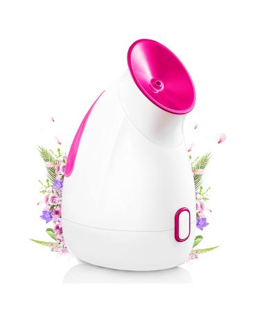 Professional Nano Ionic Facial Steamer Sauna - Home Facial Hot Skin Care Kit Mini Facial Steamer Set for Skin Moisturizing