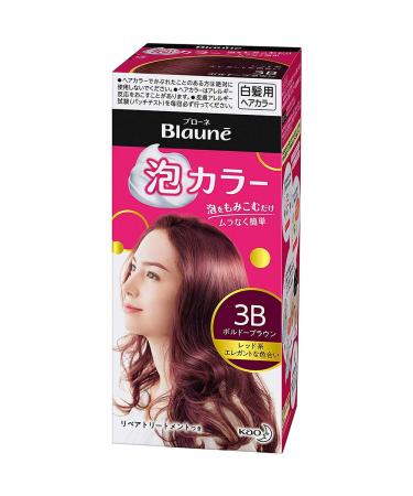 Kao Blaune Bubble Hair Color For Gray Hair 3B - Bordeaux Brown (Green Tea Set)