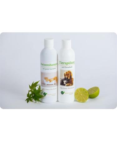 Buy Chemical-Free Cat Care Set | Gentle Shampoo & Flushing | Hypoallergenic Fur Care | Against Itching | Moroccan Lavaerde | 2x250ml for Short & Long Fur - Buy Online on GoSupps.com
