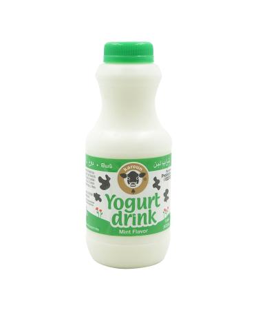 KAROUN Yogurt Drink Mint, 16 FZ