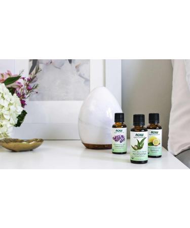 NOWFoods NOW Foods rosehip seed oil essential oil 30 ml natural care for skin regeneration and moisture - Buy Online on GoSupps.com