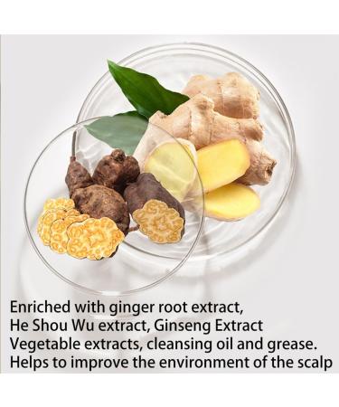  HADAVAKA Ginger Shampoo Moisturising And Nourishing Shampoo Deep Cleansing Hair Shampoo For Men And Women Ginger Strengthening Hairroots Fluffy Smooth Shampoo For All Hairtypes 500ML - Buy Online on GoSupps.com