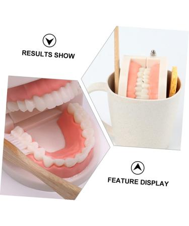 Tovinanna Early Dental Education Toy - Brushing Role-Playing Model for Kids | Reusable Wooden Dental Practice Set | Engaging Learning Toys for Children - Buy Online on GoSupps.com