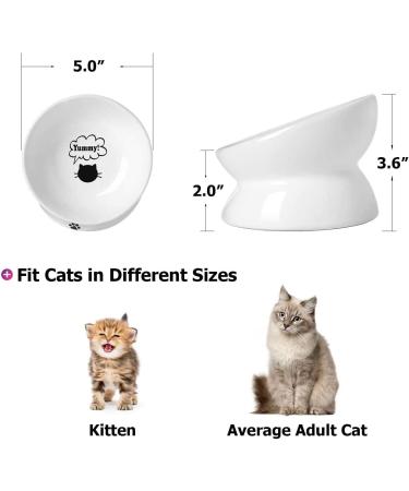Y YHY 5 Inch White Ceramic Raised Cat Bowl - Anti-Vomiting, Tilted Design for Flat-Faced Cats & Small Dogs, Protects Pet's Spine, Dishwasher Safe - Buy Online on GoSupps.com