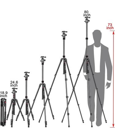 MACTREM 80 Camera Tripod: Heavy Duty DSLR Tripod for Travel - 360 Ball Head, Professional Aluminum, Monopod, Carry Bag - Compatible with Canon Nikon Sony, 33lb Load Capacity, 64.5 Inch - Buy Online on GoSupps.com