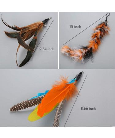 PatKare Retractable Cat Toys Wand with 7 Teaser Refills - Interactive Fun for Cats & Kittens - Buy Online on GoSupps.com