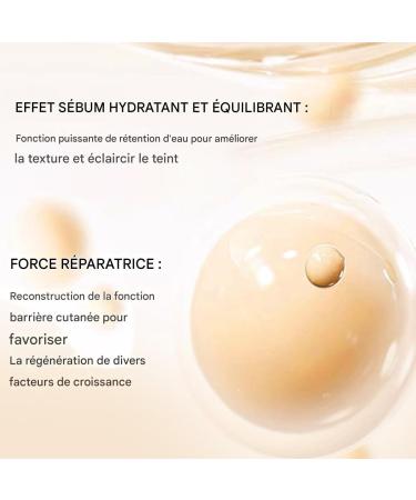  G n rique De Teint Coussion - Waterproof Matte Makeup - Full Coverage BB Cream Concealer - For Mature Dry Sensitive and Oily Skin - Daily Use All Seasons Home Travel Wedding Party - Buy Online on GoSupps.com