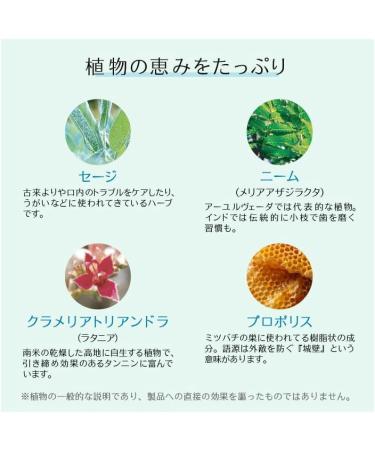 Buy Dr. Hauschka Mint Forte Toothpaste 75 ml - Natural Oral Care for Fresh Breath | International Shipping Available - Buy Online on GoSupps.com