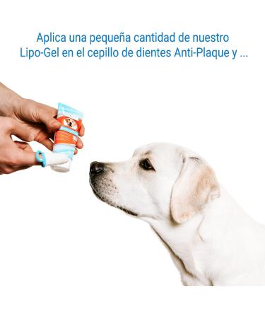 Bogadent Anti-Plaque Fingers for Dogs - 2 Pack | Effective Dental Care for Adult Dogs | International Shipping Available - Buy Online on GoSupps.com