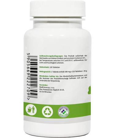 Ginkgo Biloba Extract 120 mg - Boost Memory & Concentration - 120 Tablets - International Shipping Available - Buy Online on GoSupps.com