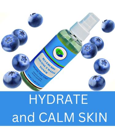 Blueberry Coconut Water Toner - Hydrating & Anti-Aging Face/Neck Moisturizer | International Shipping Available - Buy Online on GoSupps.com
