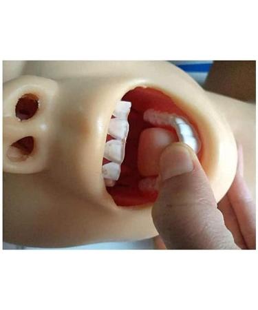 AYGJKIE Advanced Intubation Head Trainer | Study Model for Airway Management Simulator - International Shipping Available - Buy Online on GoSupps.com