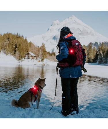 Umione Pet Light: Waterproof & Durable Dog Light for Night Walks - Gift Packaging (Umione-Red-01) - Rouge Unique - Buy Online on GoSupps.com