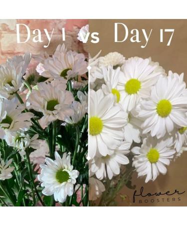 Flower Boosters Cut Flower Food for Fresher Vase Life Up to 20 Days or More (12.5 Ounces) - Buy Online on GoSupps.com