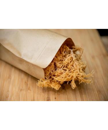  al badil Wild Golden Sea Moss - 100% Natural Superfood - Golden Sea Moss: The magic ingredient for a healthy and balanced life (50g) - Buy Online on GoSupps.com