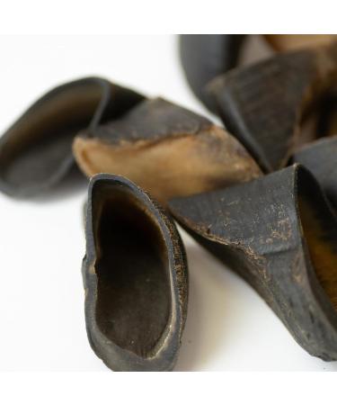 Purely Paws All-Natural Beef Hooves - Safe Digestible Dog Chews - Long-Lasting Low-Odour Rawhide Free - (10 Pack) - Buy Online on GoSupps.com