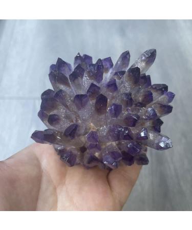 Natural Amethyst Crystal Cluster Raw Geode Geode Druzy Specimen Stone for Reiki Home Decoration 0.7-0.9lbs Gift (Size : 0.4-0.7lbs) - Buy Online on GoSupps.com