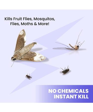 LiBa Electric Bug Zapper Indoor Insect Killer - Powerful 2800V Grid - Includes 2 Extra Replacement Bulbs - Fly and Mosquito Repellent - Easy-to-Clean with Washable Tray - Buy Online on GoSupps.com