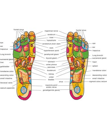 Magnetic Massage Insoles - Acupressure Foot Care Therapy Pads for Men & Women | Improve Health & Comfort - Buy Online on GoSupps.com