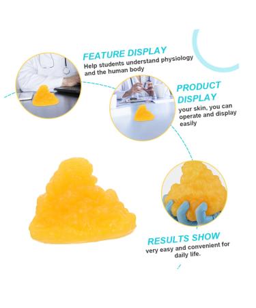ULTECHNOVO Nutritionist 2pcs Fat Model Models Body Fat Display Replica 1-Pound Body Fat Replica Base Fitness Human Body Fat 1lb - Buy Online on GoSupps.com
