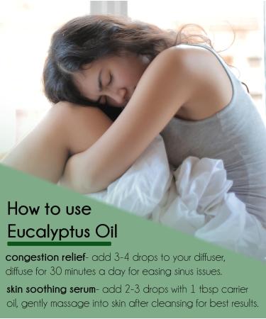 Eucalyptus Globulus 1/3 fl oz (10 ml) Glass Bottle 100% Pure Essential Oil GreenHealth - Buy Online on GoSupps.com