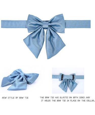 Shop Lionet Paws Comfortable Silk Dog Collar with Removable Fly - XS Collars for Puppies & Cats 20-30cm Blue - International Shipping Available - Buy Online on GoSupps.com