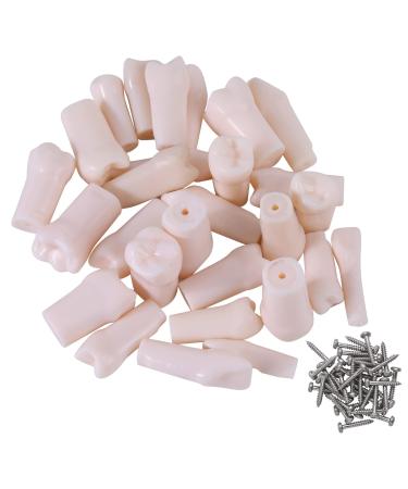 Typodont Teeth - 28pcs for Typodont Dental Teeth Model Removable Teeth use for Practice and Teaching