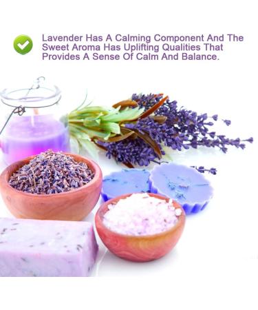 Plant Gift Dried Lavender Flowers 40G/1.41oz - Premium Grade. Perfect for Tea Lavender Tea Baking Baths. Fresh Fragrance. Gluten-Free Non-GMO - Buy Online on GoSupps.com