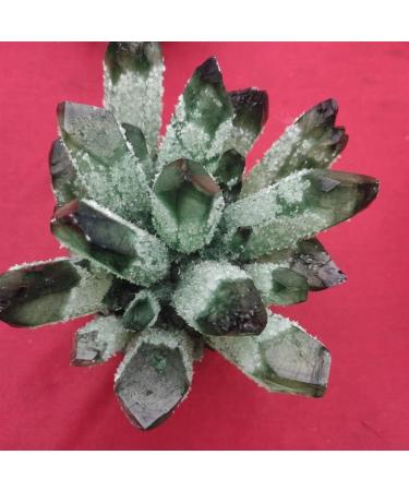 Natural Crystal Rough Home Decoration 1pcs Natural Green Ghost Phantom Quartz Crystal Cluster Specimen Wedding Decoration Aquarium Stones (Size : 700-800g) - Buy Online on GoSupps.com